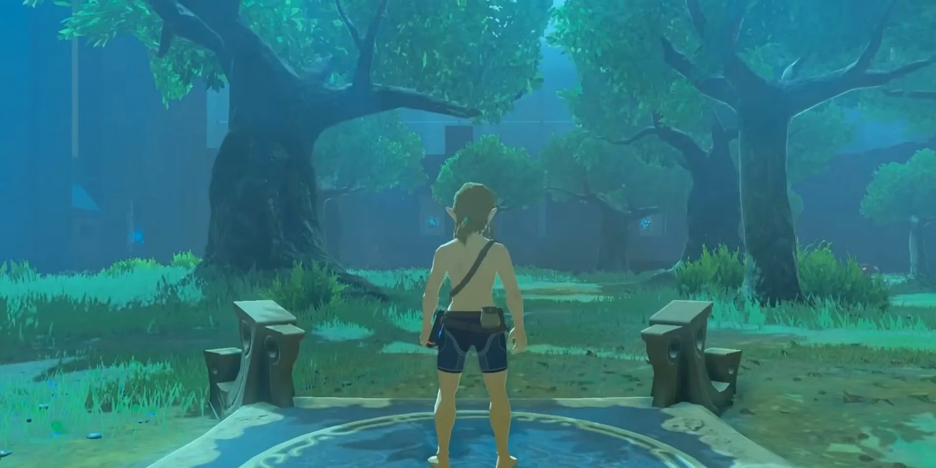 why-tears-of-the-kingdom-s-lack-of-dlc-and-a-trial-of-the-sword-equivalent-is-a-missed-opportunity-image-1